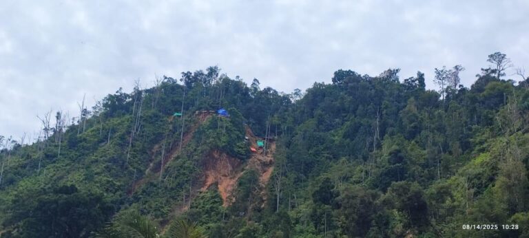 Langgar Aturan, Dua Perusahaan Tambang Raksasa Kehilangan Ratusan Hektare Lahan 🌲