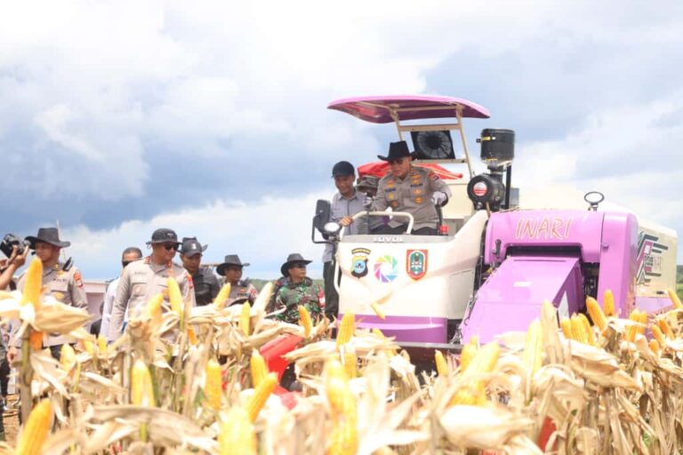 Kapolda Kalsel Pimpin Panen Raya Jagung Serentak 2025, Hasil Capai 162 Ton