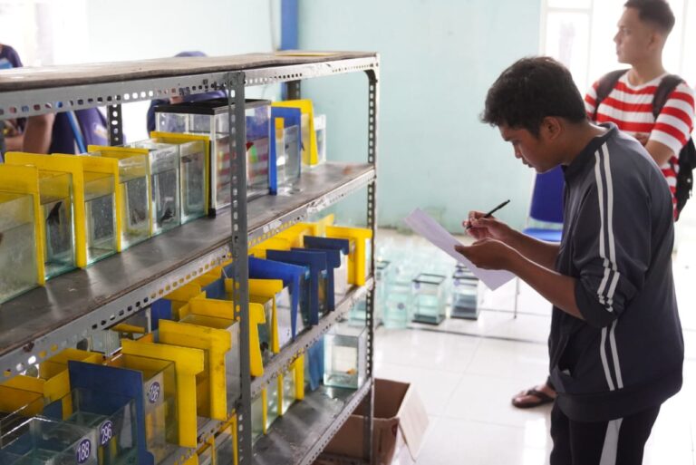 Lomba Ikan Hias Cupang dan Anggrek Meriahkan Martapura, Dorong Ekonomi Kreatif Berbasis Hobi