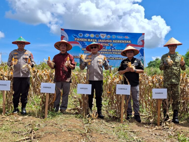 POLRI Gelar Panen Raya Jagung Serentak, Dorong Kalsel Jadi Sentra Pangan Nasional