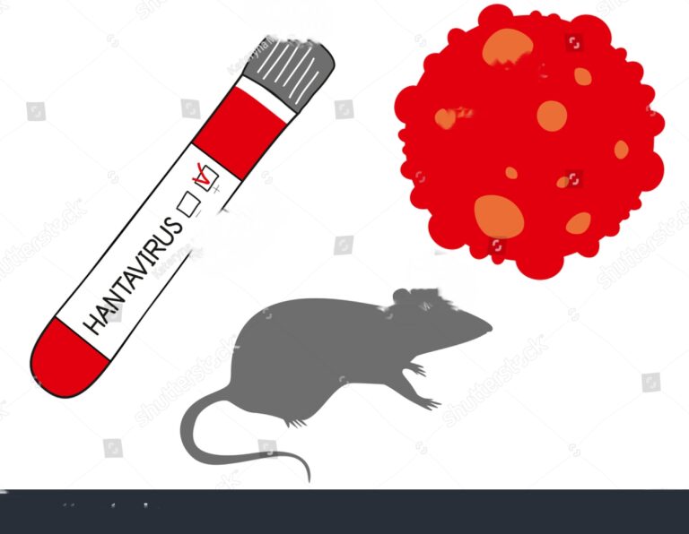 Meski Nihil Kasus, Dinkes Kotabaru Tetap Siaga Antisipasi Hantavirus