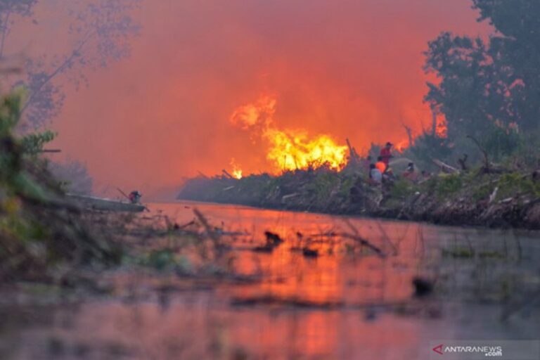 Kalimantan Dikepung 9.853 Titik Panas, WALHI : Konsesi Jadi Episentrum Karhutla di Kalimantan