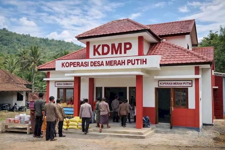 Bansos, PKH, Beras 10 Kg hingga Gas Melon 3 Kg Bakal Disalurkan Lewat Koperasi Desa Merah Putih