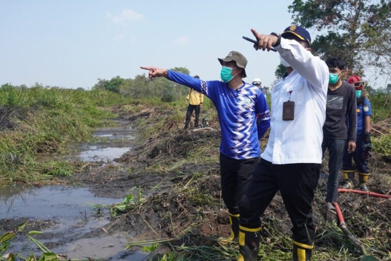 Pastikan Penanganan Optimal, Bupati Banjar Tinjau Karhutla di Sungai Sipai
